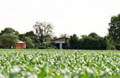 Demeterhof Dünninger - Foto 1