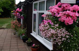 The Garden Suite Holt - Foto 34