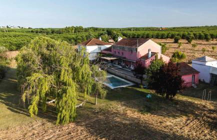 Casa das Jardas - Foto 2