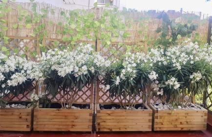 Apartamento San Quirce - céntrico y reformado- wifi y netflix - Foto 64