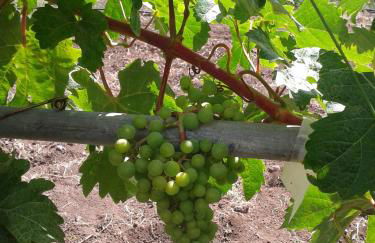 Casa Rural La Tinta - Foto 23