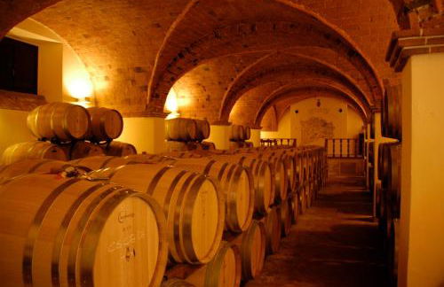 Castello Ginori Di Querceto - Foto 58