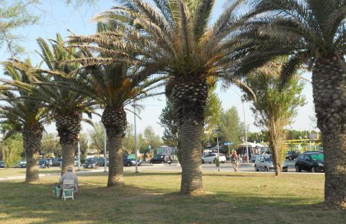 Pepita Flats - Foto 33