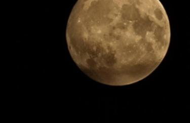 Luxury Welsh wooden cabin - Foto 53