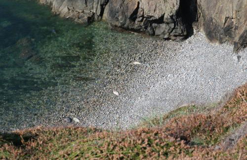 Best Beach 2025 "Little Haven" & The Hidden Gem - Foto 33