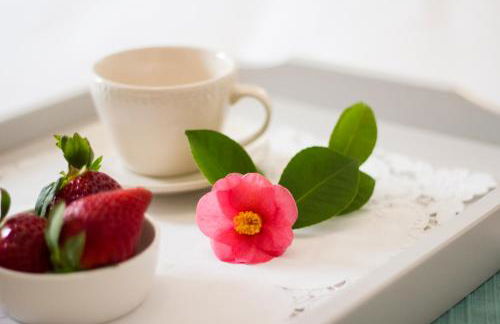 Casa do Avô Serra - Foto 31