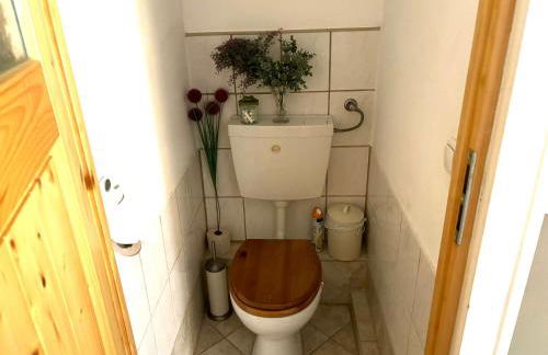 Altstadt & See & Garten Haustiere willkommen - Foto 17