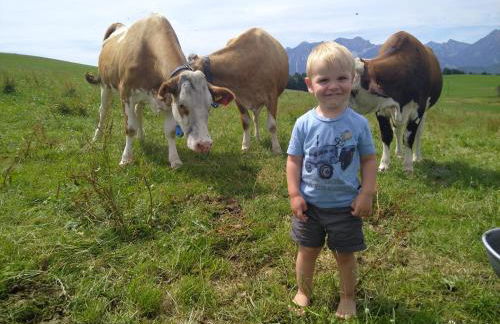 Bio-Ferienhof Köpf - Foto 46