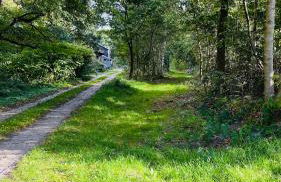 Kleine Burg Ovelgönne - Foto 36