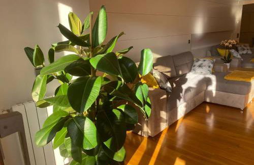 Ondarreta Beach - Singular y exclusivo - Foto 53