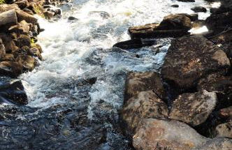 Quinta Das Escomoeiras - Foto 71