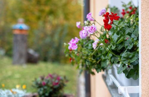 Pension Schmidt - Foto 2