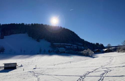 Ferienwohnung Aigisblick mit Pool und Sauna, direkt am Skihang - Foto 25