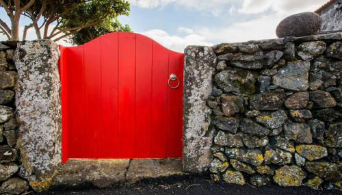 Adega Velha - Photo 4