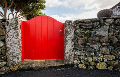 Adega Velha - Photo 4