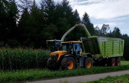 Ferienhof Harr - Foto 16