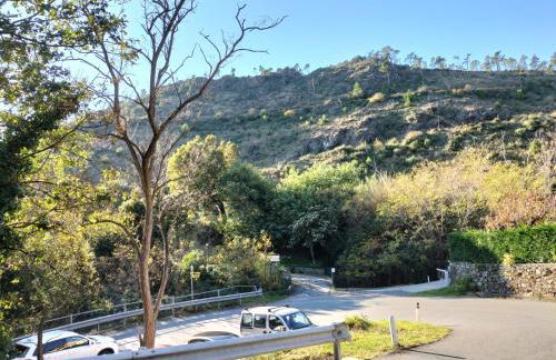 Green House - Foto 15