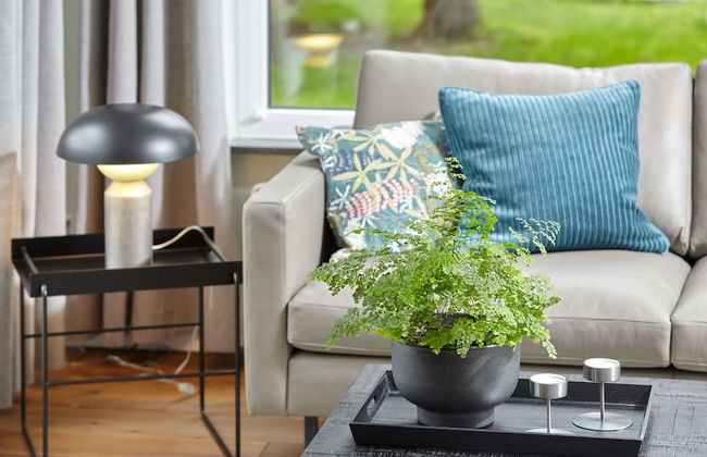 Ferienhäuser & Appartments Düneneck 6 - Photo 28