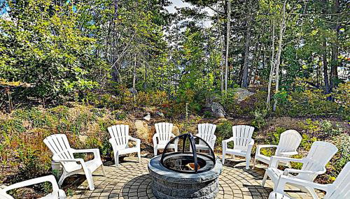 Whale Song - Photo 5