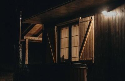 Mech i brzoza - Foto 24