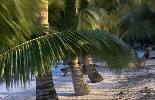 Rarotonga Villas - Foto 74