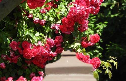 Zimski san - Foto 53