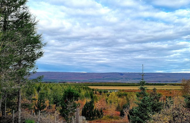 Kaldá Lyngholt Holiday Homes - Foto 22