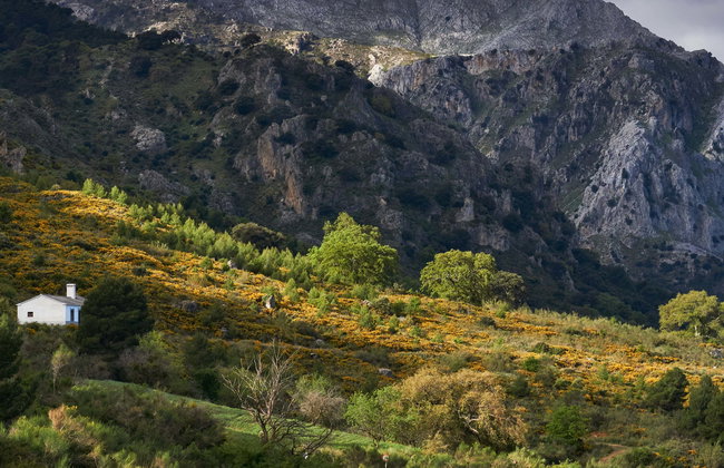 Senderismo por la Sierra de las Nieves - Foto 1