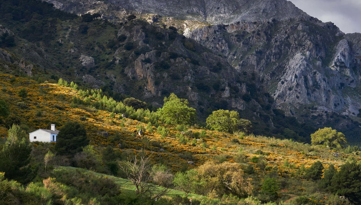 Senderismo por la Sierra de las Nieves - Foto 1, Senderismo por la Sierra de las Nieves