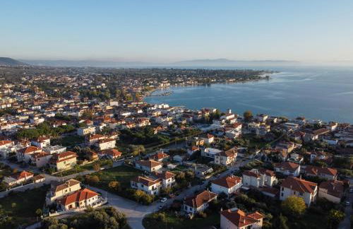 The backyard- Κατοικία στην Αγριά, Βόλου - Foto 38