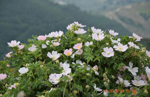 Casa Galoppa - Foto 36