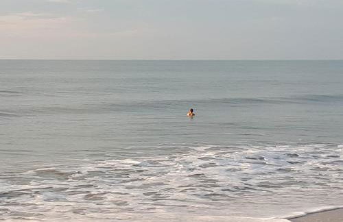 Maison au calme sur grand terrain avec piscine - Foto 24