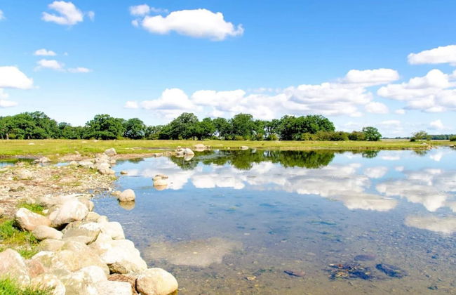 6 Person Holiday Home in Kettinge - Foto 51