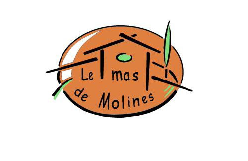 Gîte Le Mas de Molines - Foto 18
