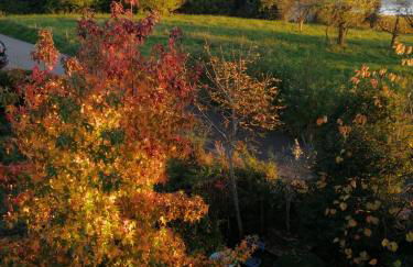 Haus Meersburg Garten - Foto 16