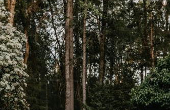 Spacious Cozy and Renovated Mountain Retreat - Foto 49