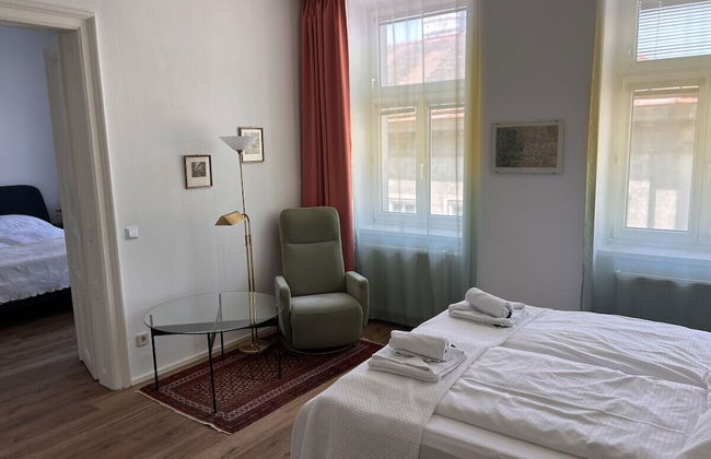 Orange Palm - Foto 14