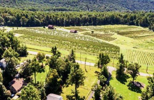 Blue Mountain Getaway Hot tub, Winery, Game Room - Foto 59