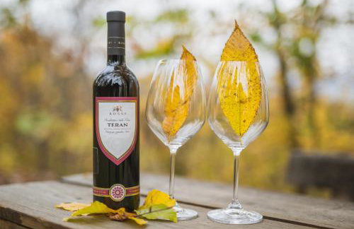 Old Chestnut Vacation Home - Foto 49