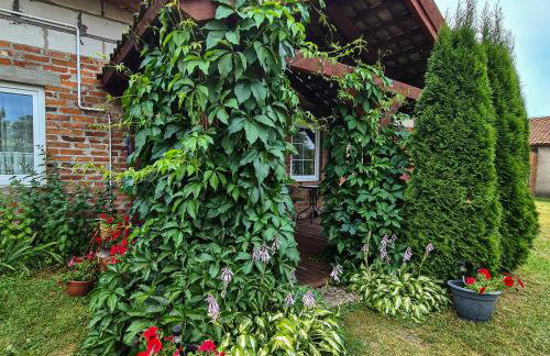 Domek Pod Mazurskim Lasem - Foto 1