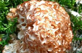 Kawalerka u Megi - Foto 15