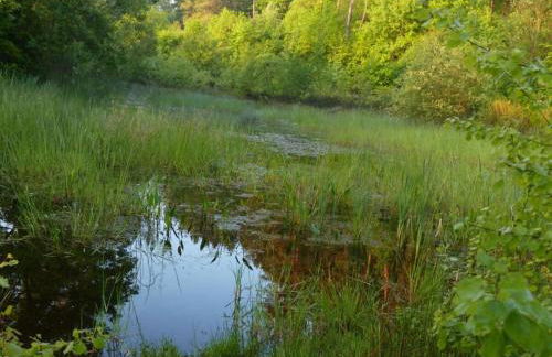 WERTS HOF Apartment 2 - Foto 15