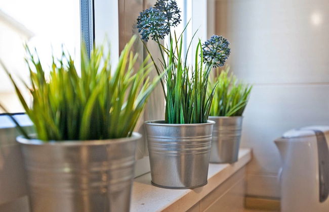 Apartments Roses - Foto 75