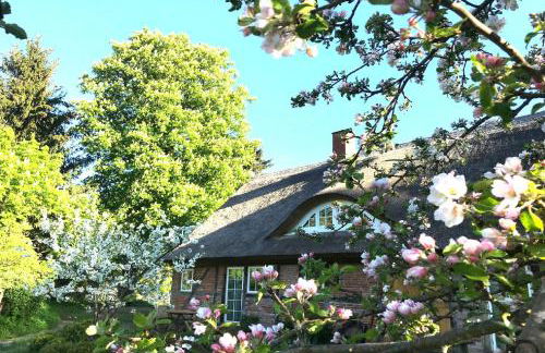 F-1081 Ferienwohnung Pfarrhof in Garz - Foto 5