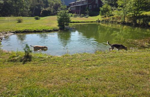 The Cardinal Lodge- A Riverside Retreat - Foto 25