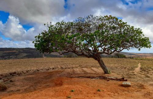 Fazenda Terra Bonita - Foto 16