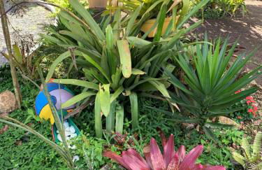 Flat em Serra Negra - PE - Próximo Bodega de Véio, shows e eventos - Foto 18