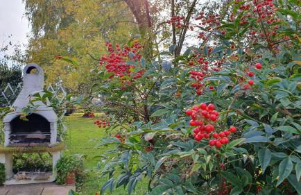 NIKO casa - 3 bedroom test - Foto 37