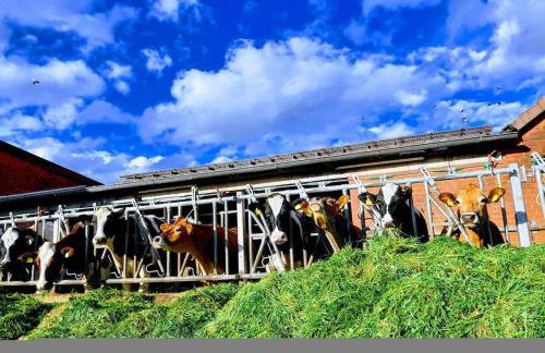 Gemütliche Wohnung mit Blick in die Wiesen - Foto 30