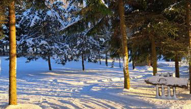 Pod Dębem Bis - Foto 2